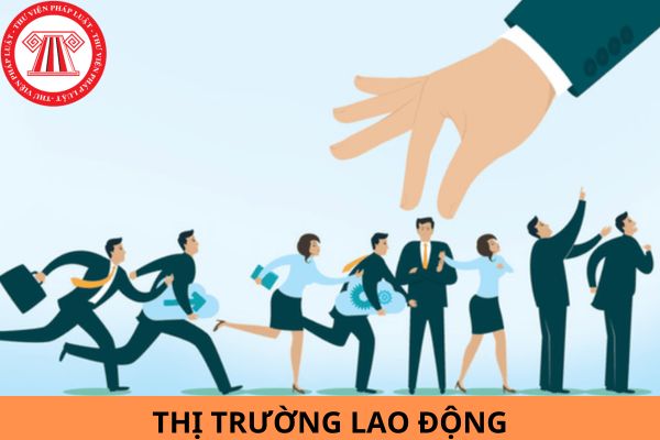 Nhu cầu tuyển dụng công nhân không có bằng cấp chiếm tỷ lệ cao