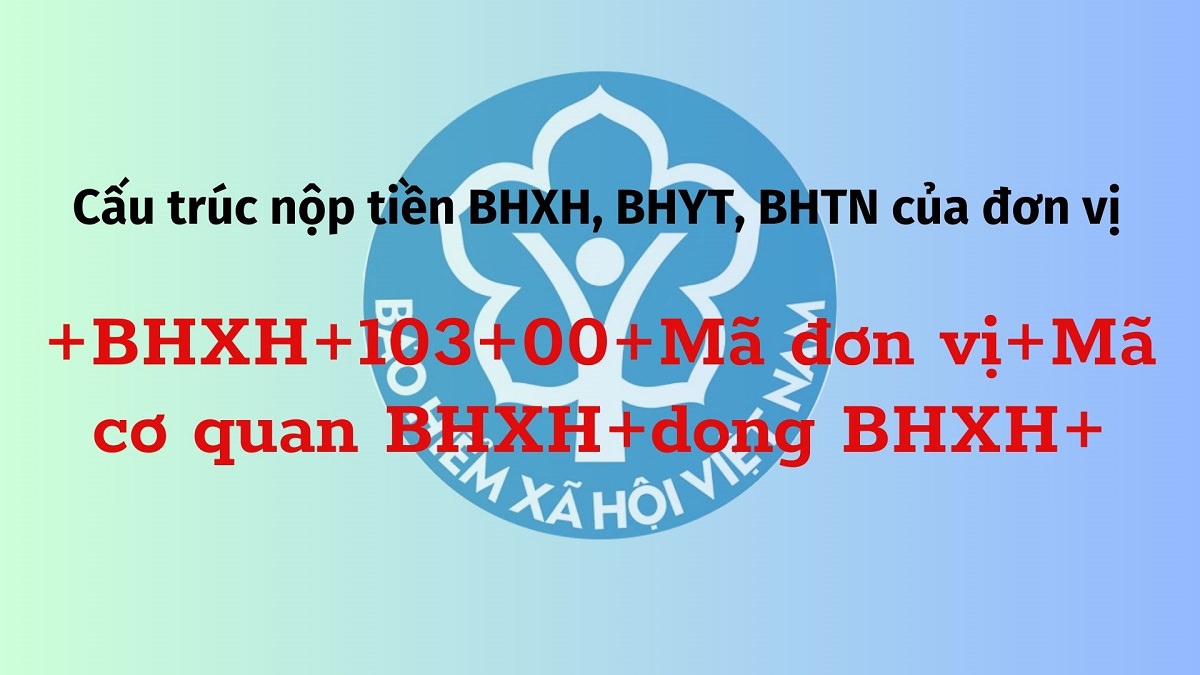 THÔNG BÁO SỐ 3205/TB-BHXH CỦA BHXH TP. HCM VỀ NỘI DUNG NỘP TIỀN THEO CẤU TRÚC QUY ĐỊNH CỦA CƠ QUAN BHXH