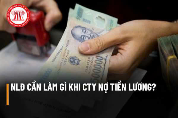 Người lao động cần phải làm gì khi công ty nợ tiền lương? Công ty nợ tiền lương thì sẽ bị xử phạt như thế nào?